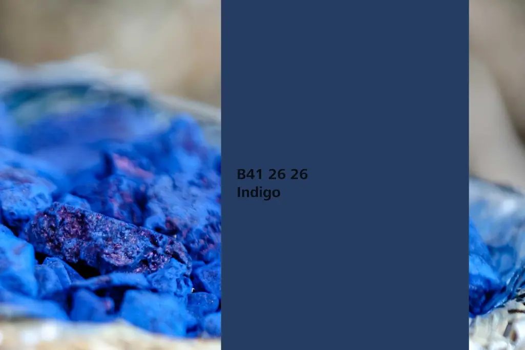 Nijansa Indigo, biljka za bojenje indigo,  paleta boja Sto zidne boje Interior Colors 24+