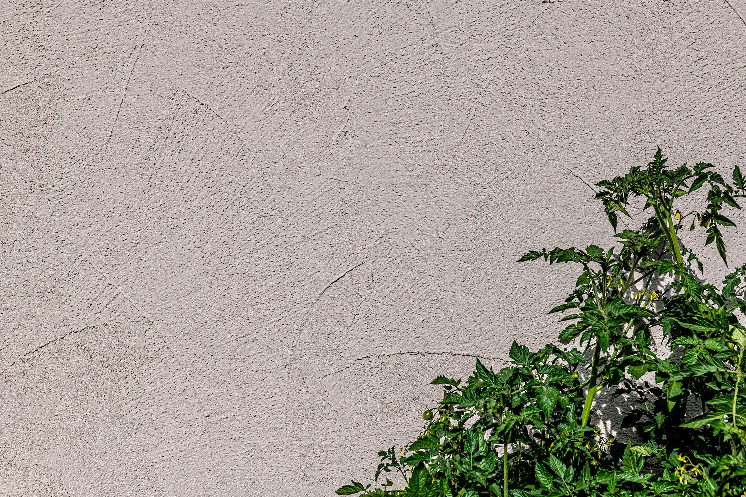 Emma Wanderer Campus Alps, Hieflau, AT