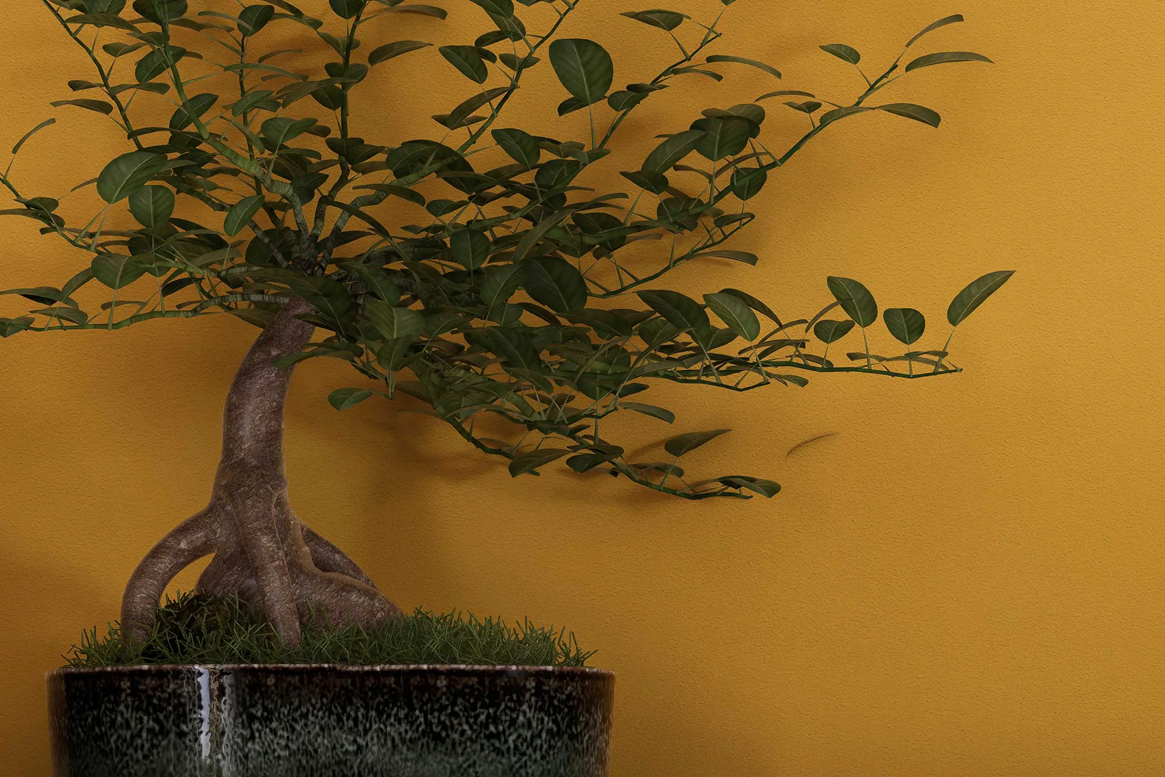 Dizajn zidova za blagovaonicu: biljka ispred žutog zida dizajniranog paletom Interior Colors 24+