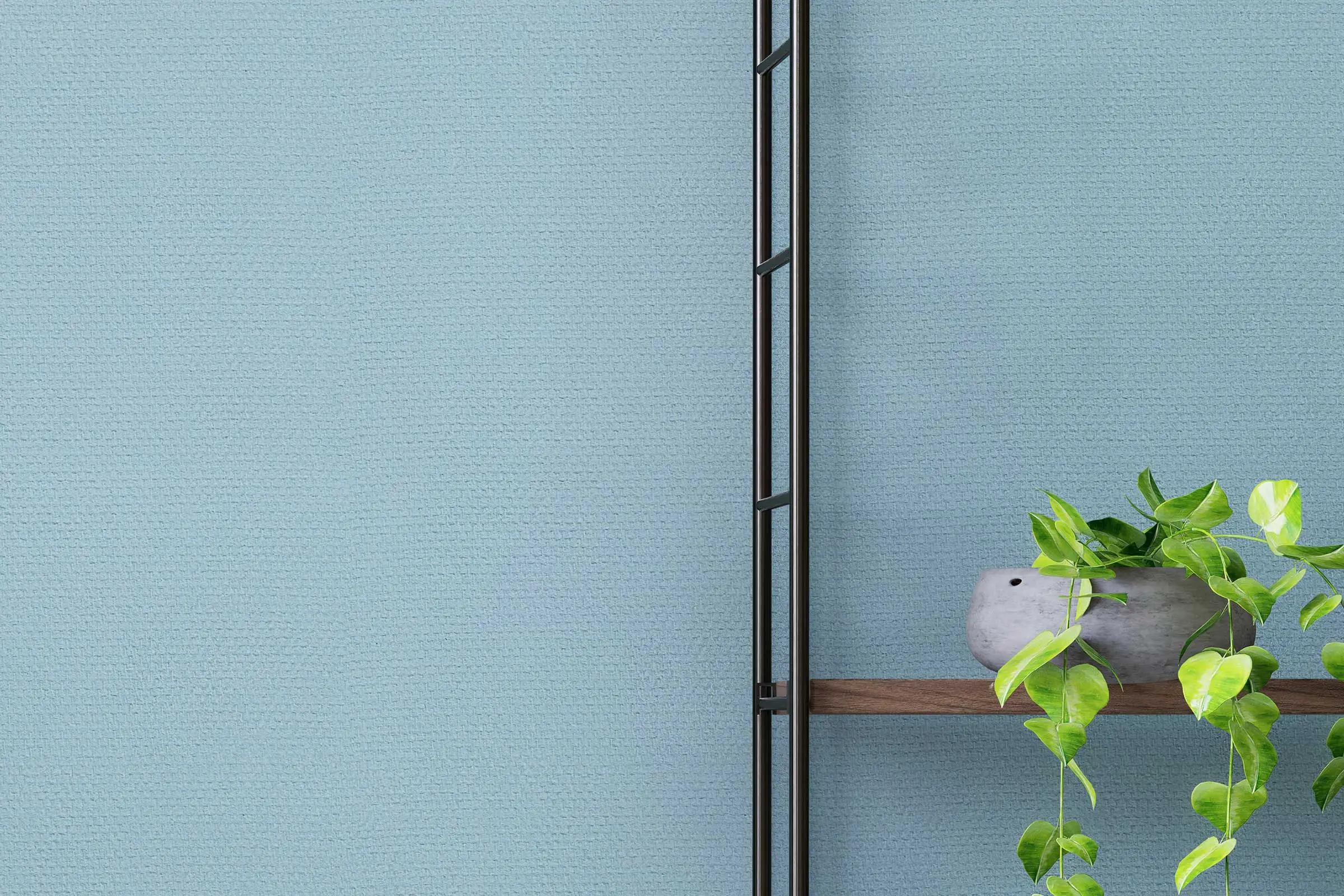 Dizajn zidova u dnevnoj sobi, detalj zidne police s biljkom, zid dizajniran paletom boja Interior Co