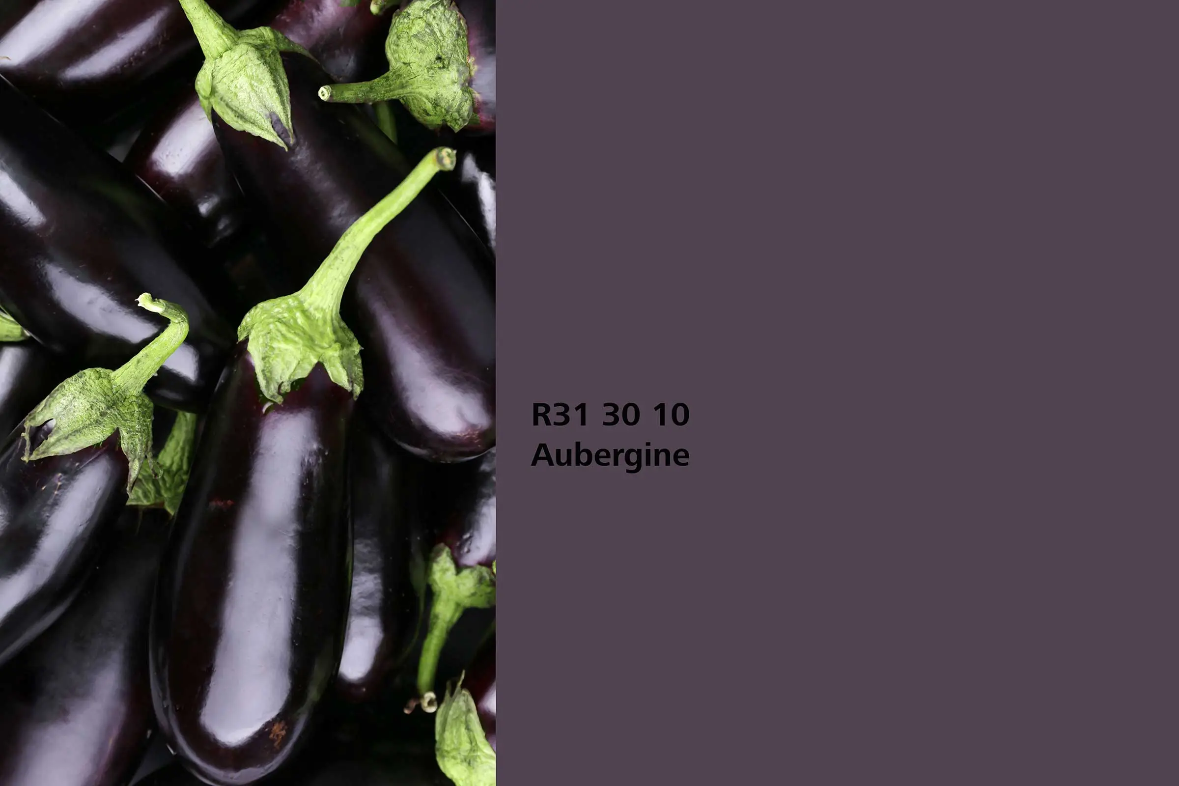 Interior Colors 24+: nijansa Aubergine, asocijacija na plod patlidžana