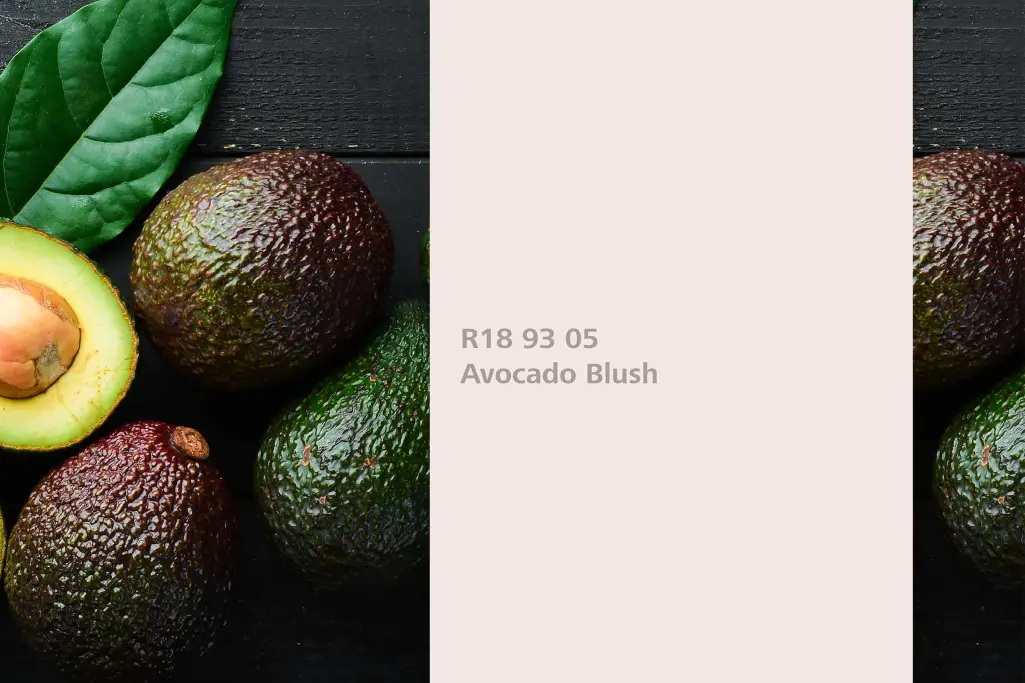 Nijansa Avocado Blush, biljka za bojenje avokado (Persea americana), Sto zidne boje