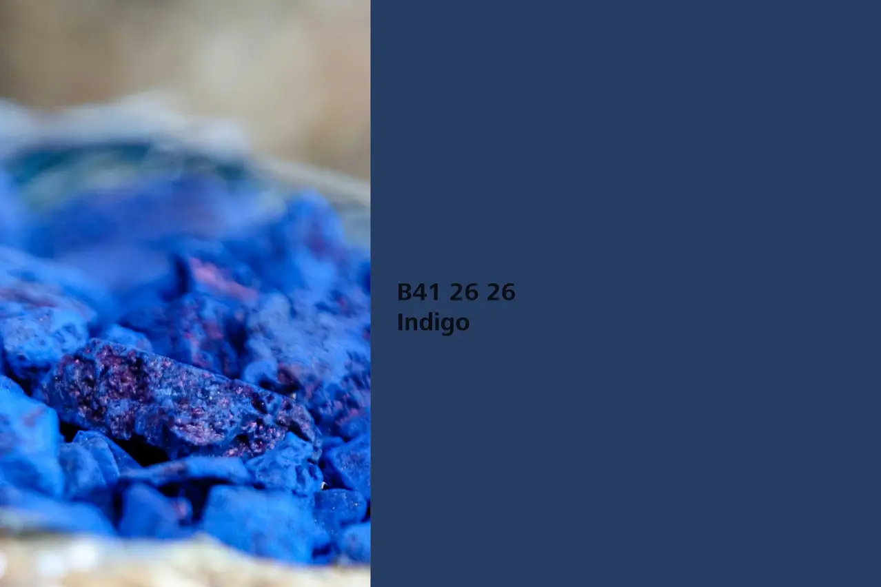 Interior Colors 24+: nijansa Indigo, biljka za bojenje indigovka