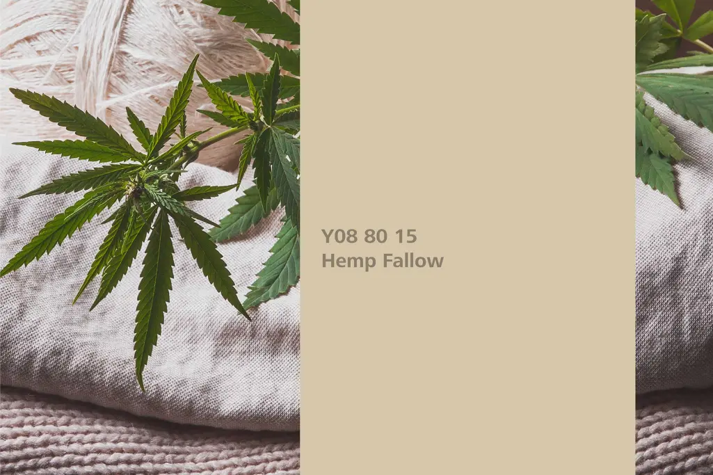 Nijansa Hemp Fallow, asocijacija kanabis,  paleta boja Sto zidne boje Interior Colors 24+