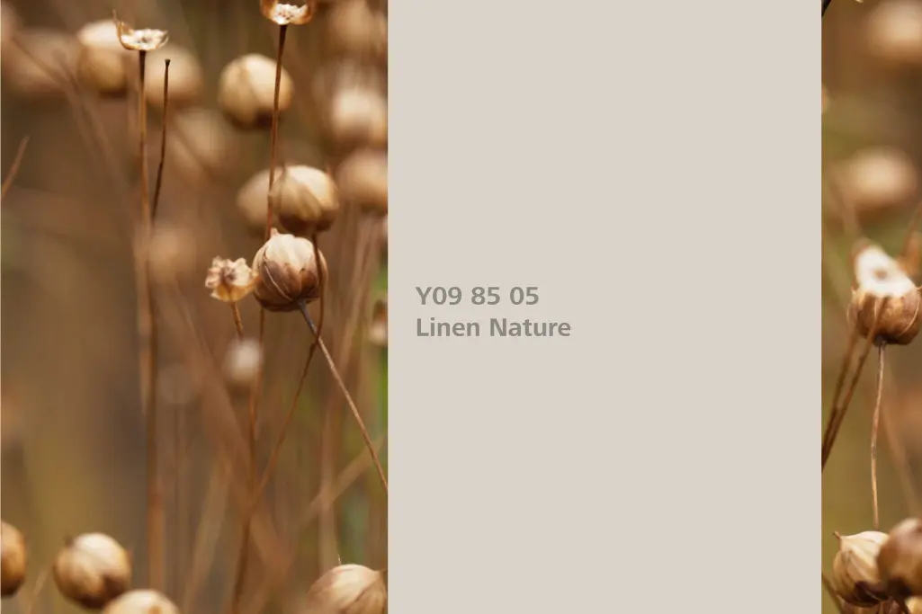 Nijansa Linen Nature, asocijacija lan,  paleta boja Sto zidne boje Interior Colors 24+