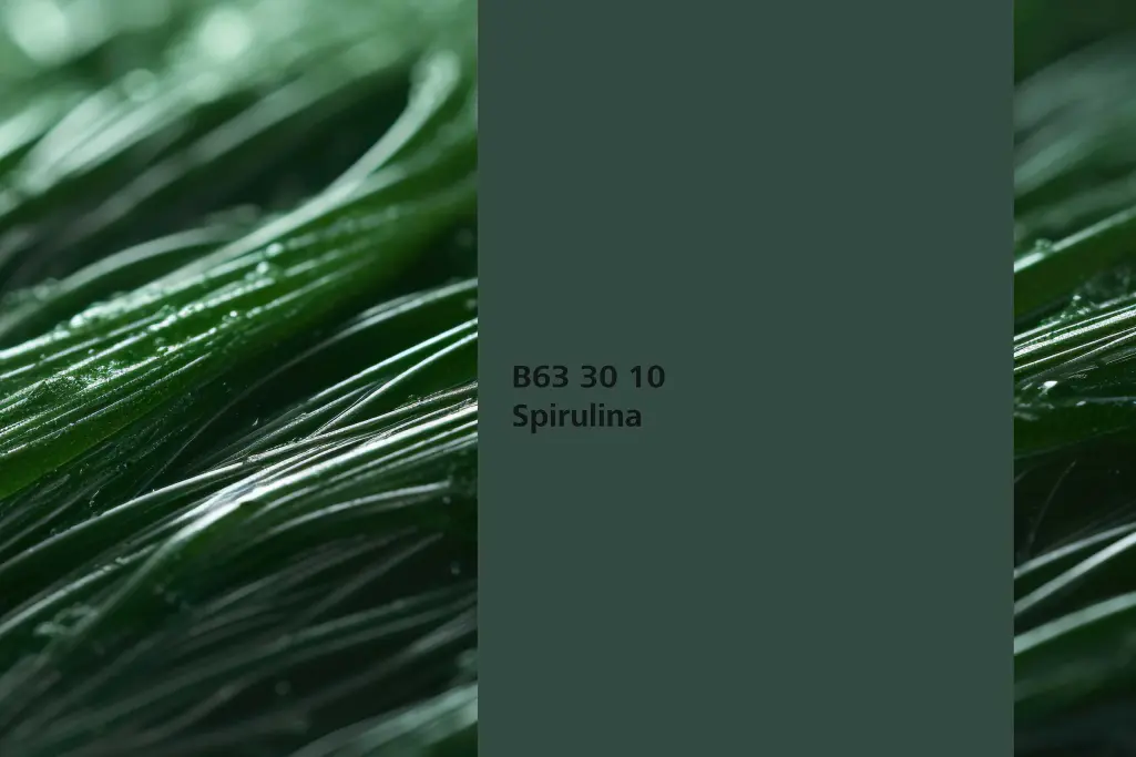  Nijansa Spirulina, biljka za bojenje: spirulina (Arthrospira platensis), Sto zidne boje