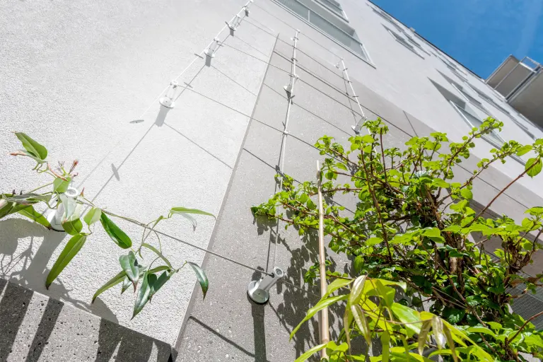 Ozelenjavanje fasade kao prirodna zaštita od vrućina